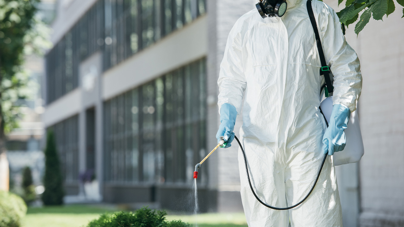 Commercial Pest Control